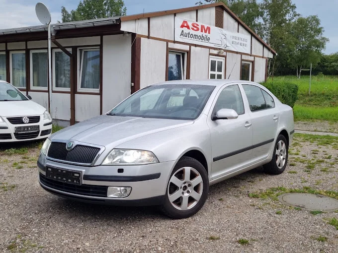 Ein silberner Škoda vor dem ASM Automobile Autohaus